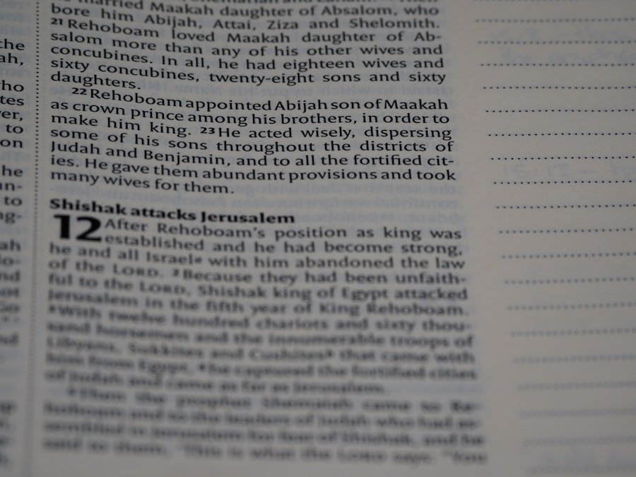 insubordination definition