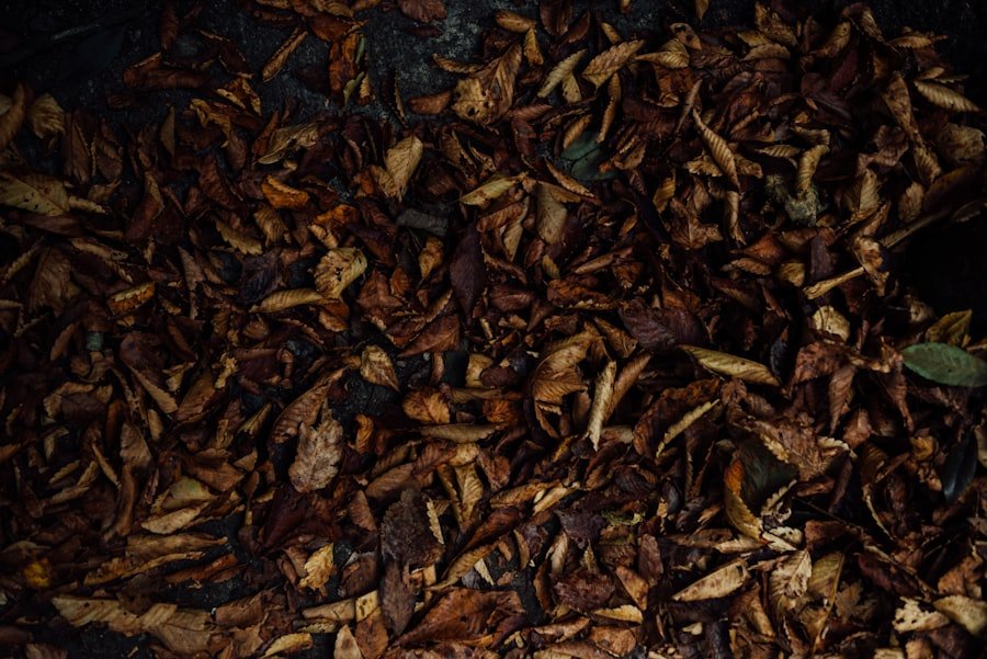 death leave