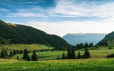 Comment négocier une dispense de préavis