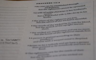 Contrat apprentissage cerfa : tout ce qu&rsquo;il faut savoir