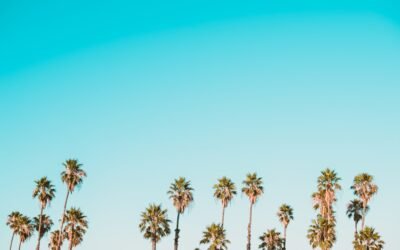 Guide fiche entretien annuel : optimiser vos évaluations