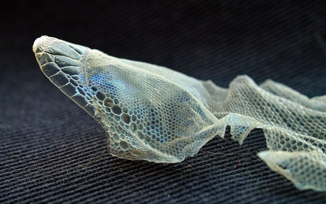 Licenciement motif personnel: comprendre les raisons.