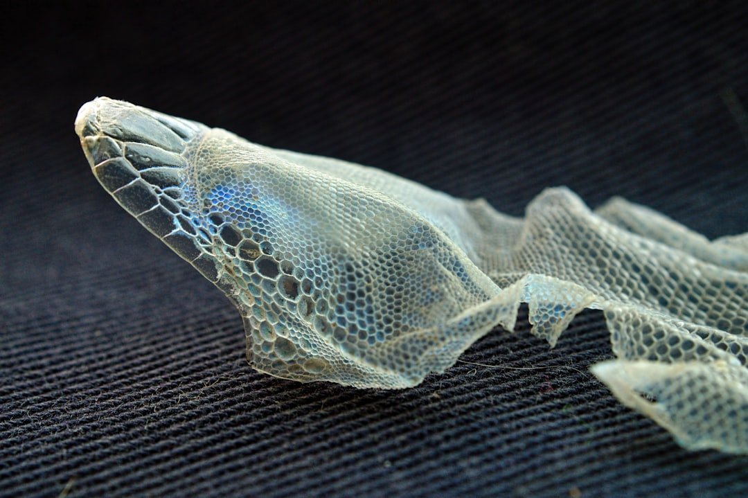 Licenciement motif personnel: comprendre les raisons. licenciement motif personnel