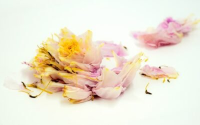 Prise acte rupture employeur: que faire?