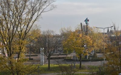 Les droits congés payés : ce que vous devez savoir