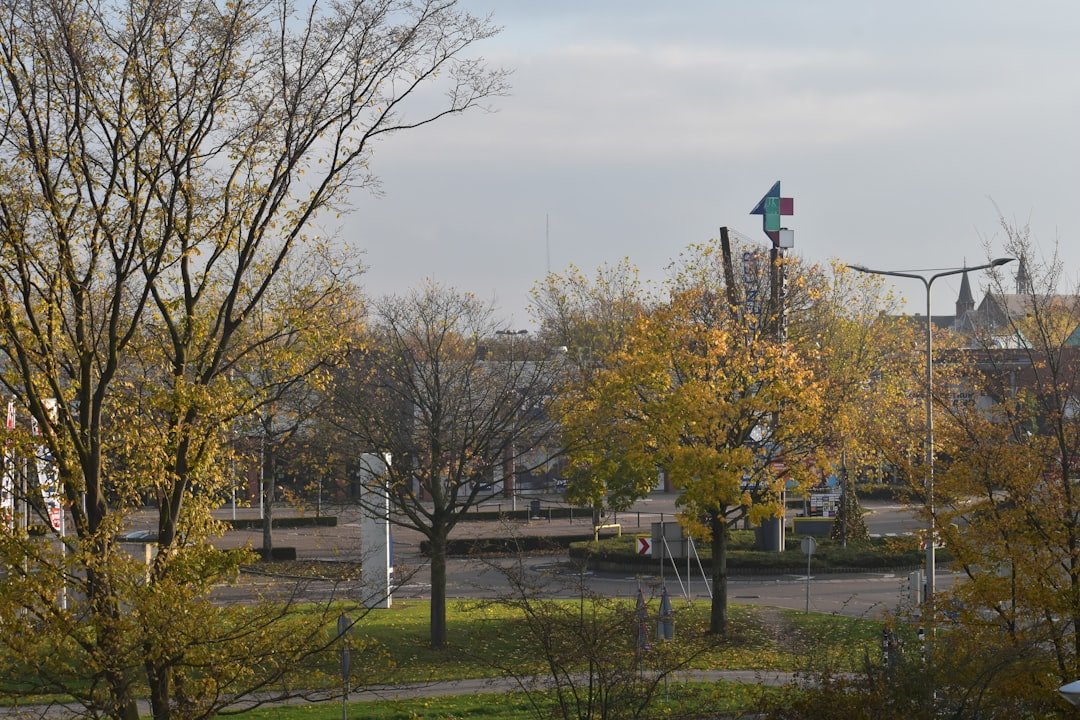 droits congés payés