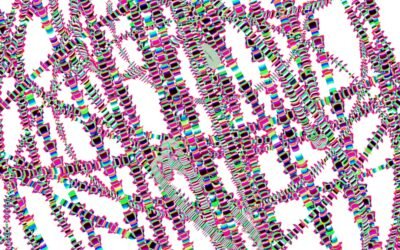 La mutation géographique refusée : un défi pour l’avenir